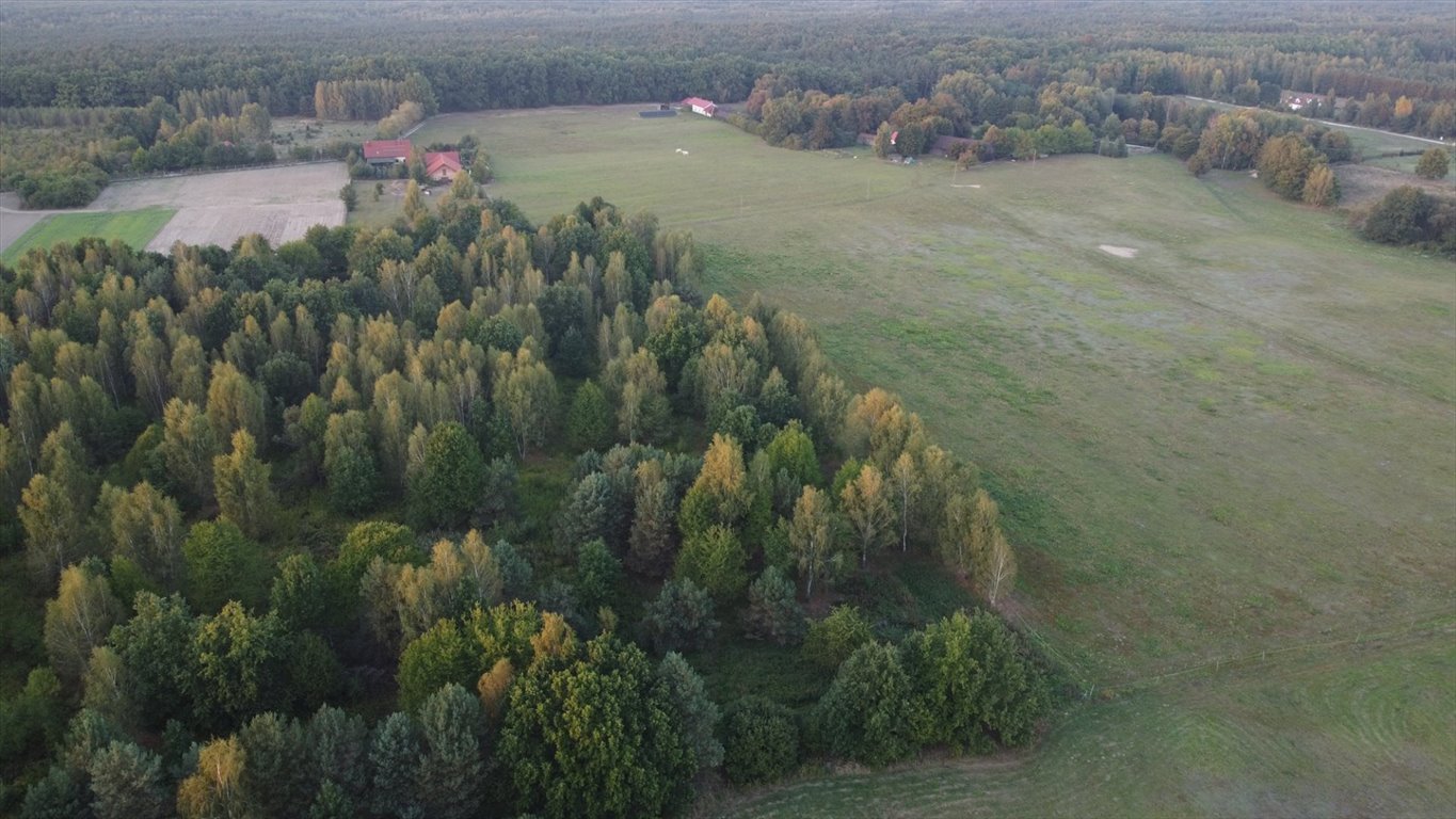 Działka inna na sprzedaż Szymanówek  3 214m2 Foto 5