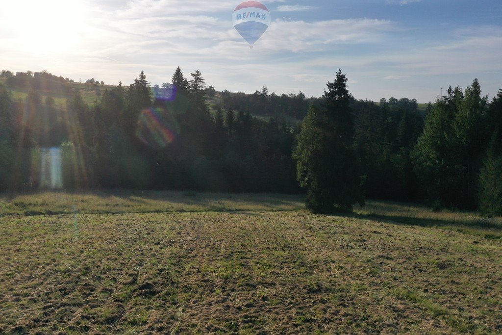 Działka budowlana na sprzedaż Zakopane  3 700m2 Foto 20