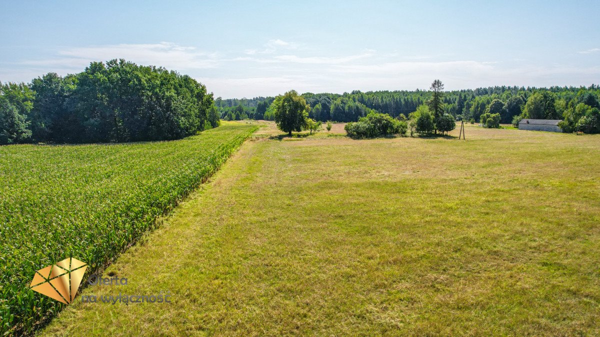 Działka budowlana na sprzedaż Kaznów-Kolonia  1 329m2 Foto 7