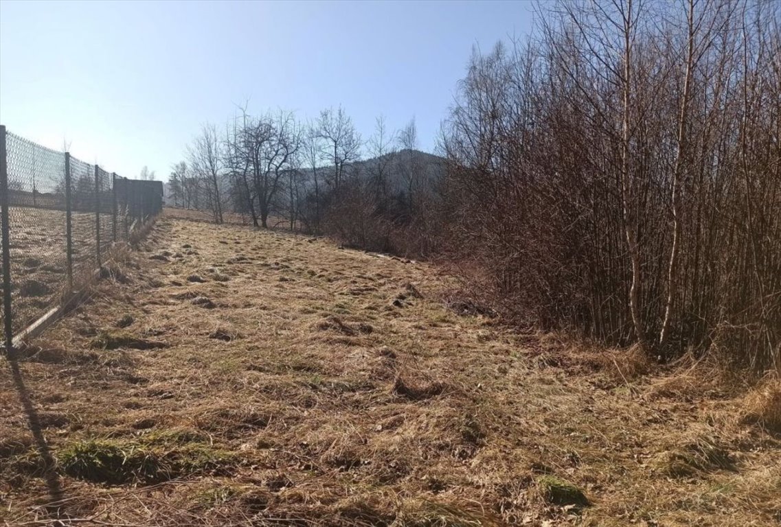 Działka budowlana na sprzedaż Milówka  1 300m2 Foto 11