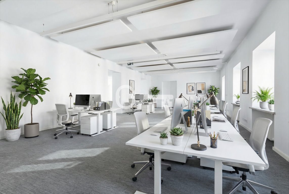 Lokal użytkowy 227 m² przy Nowym Świecie - polecam Warszawa, Śródmieście Północne, Nowy Świat  227m2 Foto 1
