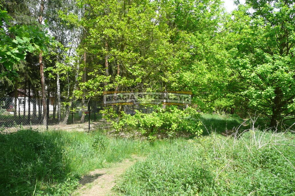 Działka budowlana na sprzedaż Kierszek 4 600m2 Foto 1 Działka budowlana na sprzedaż Kierszek 4 600m2 Foto 1