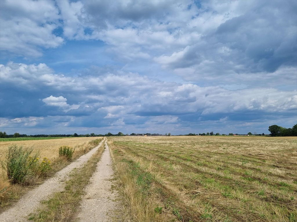 Działka rolna na sprzedaż Bolesławice  20 419m2 Foto 6
