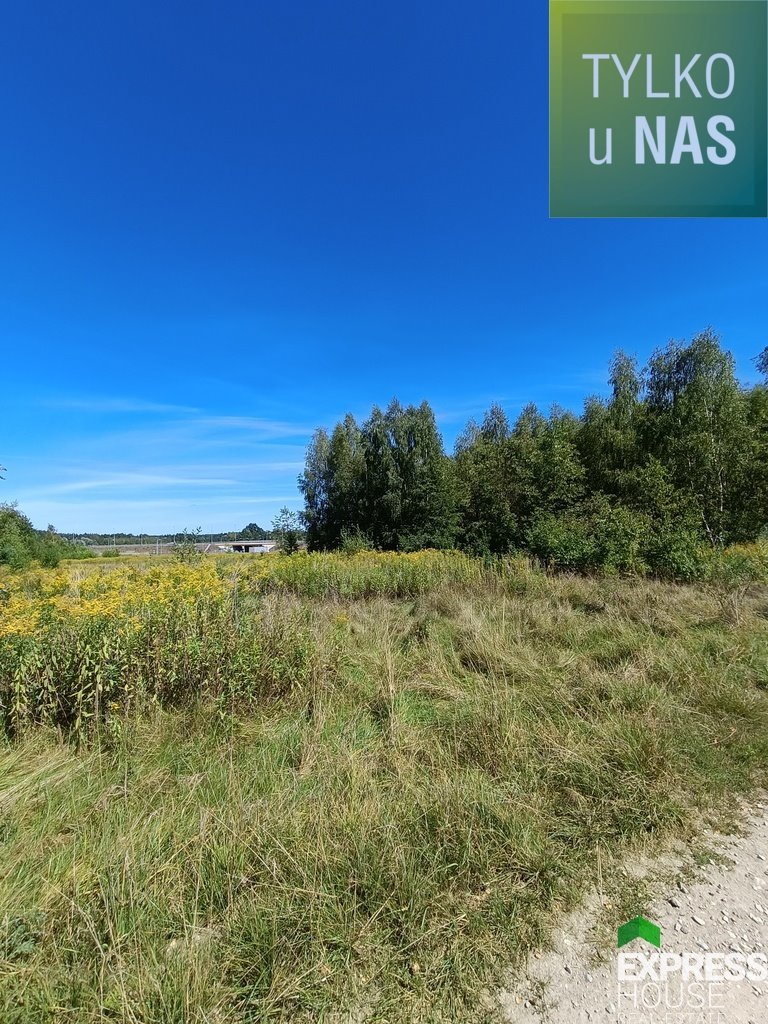 Działka przemysłowo-handlowa na sprzedaż Otwock, Pokojowa  5 781m2 Foto 2