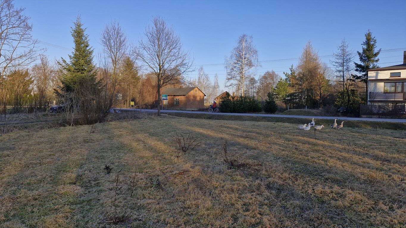 Działka gospodarstwo rolne na sprzedaż Szadek, Tomaszew, 16  8 800m2 Foto 2