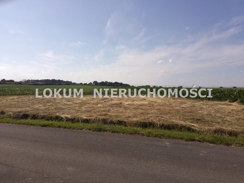 Działka budowlana na sprzedaż Pawłowice  1 054m2 Foto 3