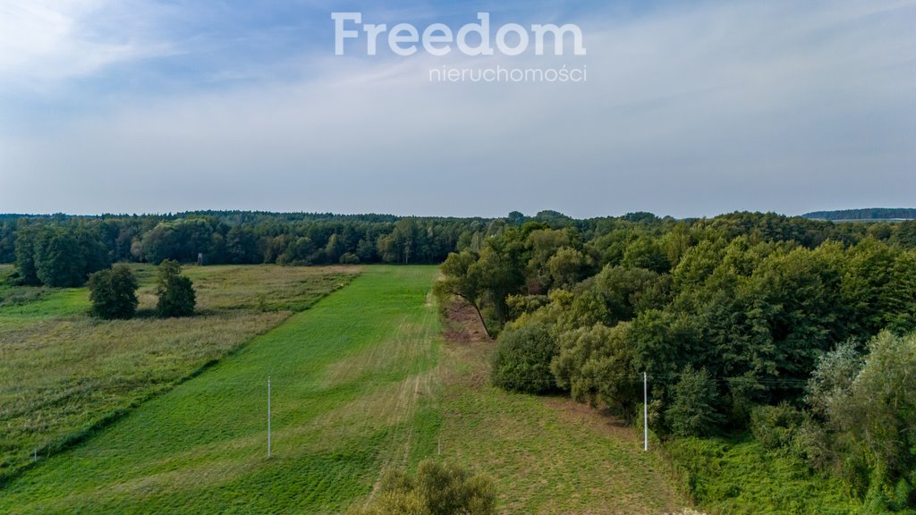 Działka rekreacyjna na sprzedaż Warka, Niemojewice  8 614m2 Foto 8