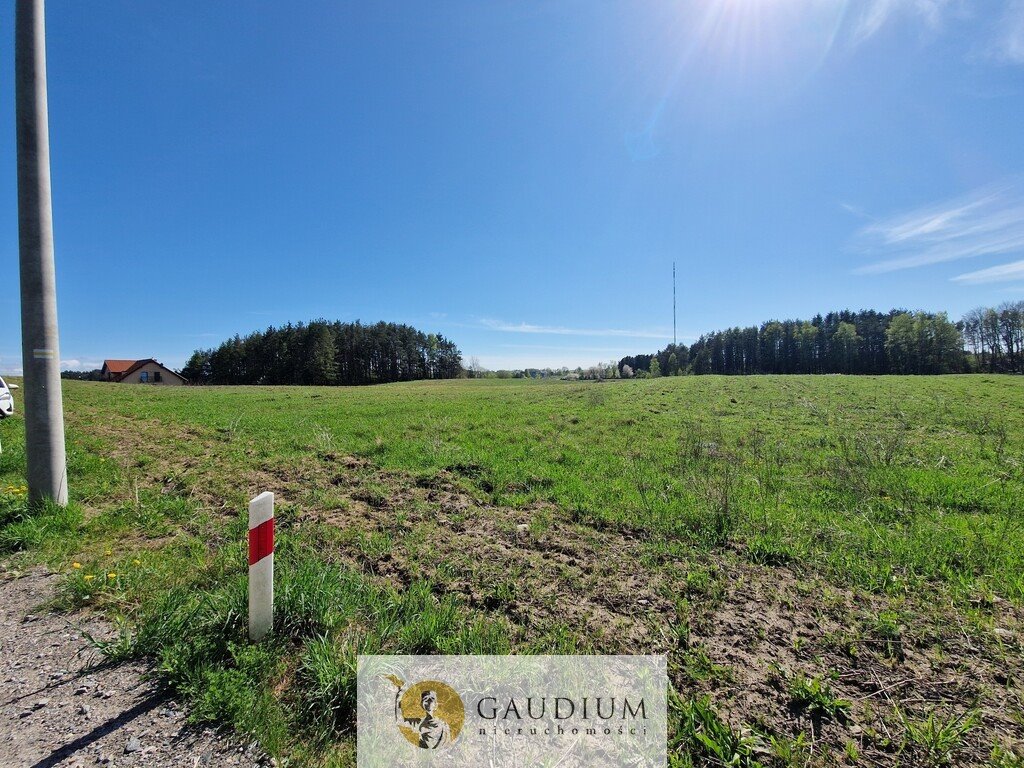 Działka 1084 m² w Gdyni Dąbrowa, las, cisza, blisko miasta Gdynia, Dąbrowa, Kolonia  1 084m2 Foto 1