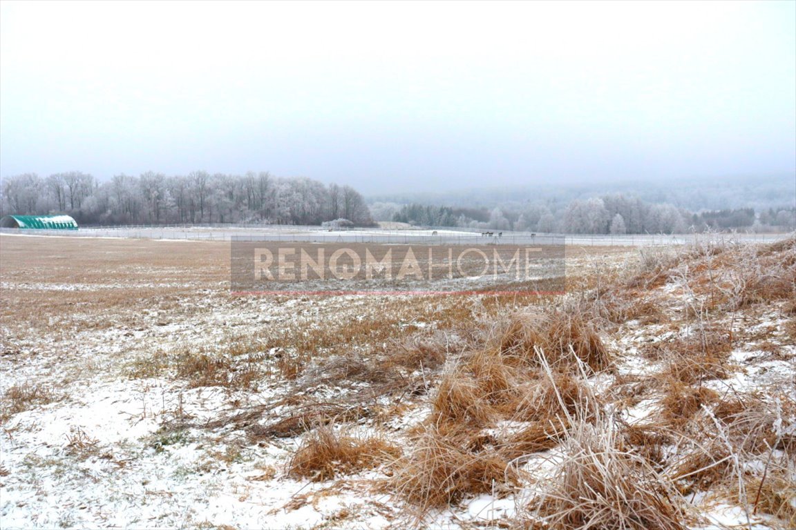 Działka budowlana na sprzedaż Myślinów  3 000m2 Foto 1