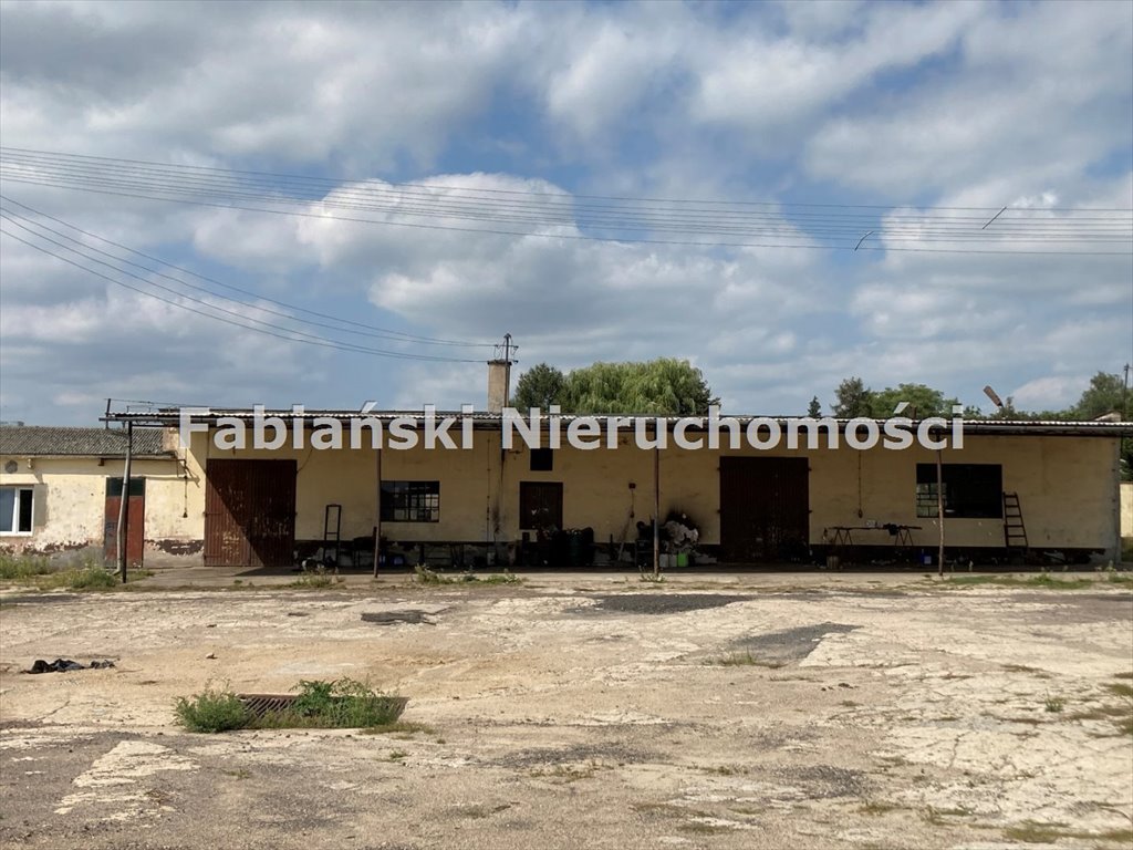 Lokal użytkowy na sprzedaż Łubnica, Baza Rolniczej Spółdzielni Produkcyjnej Łubnica, gmina Wielichowo, powiat grodziski  46 731m2 Foto 7