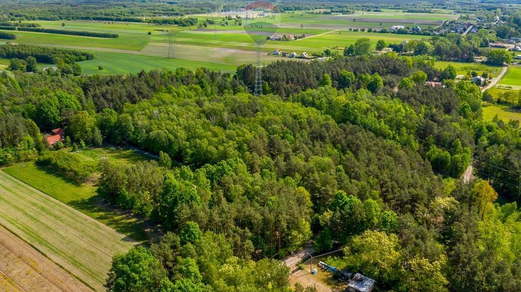 Działka rolna na sprzedaż Suchowizna  3 100m2 Foto 11