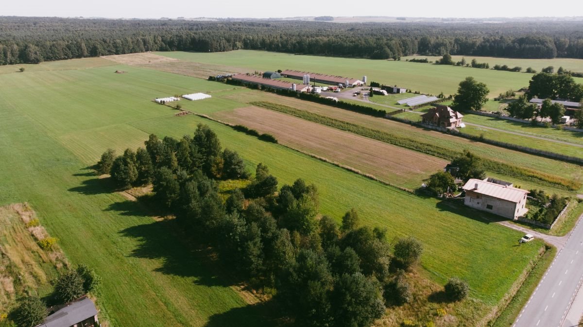 Działka budowlana na sprzedaż Woźniki, Dyrdy, Asfaltowa  1 699m2 Foto 9