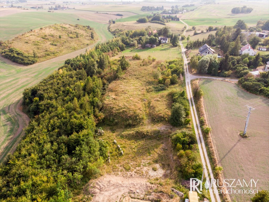 Działka budowlana na sprzedaż Malbork, Nowa Wieś  4 794m2 Foto 5