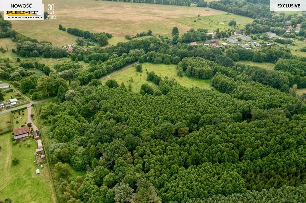 Działka budowlana na sprzedaż Łoźnica  3 004m2 Foto 14