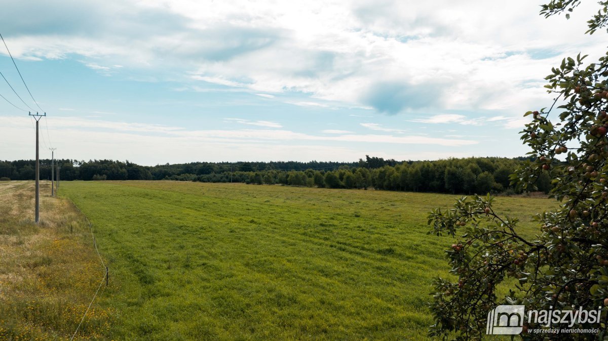 Działka rolna na sprzedaż Czermnica  17 100m2 Foto 14