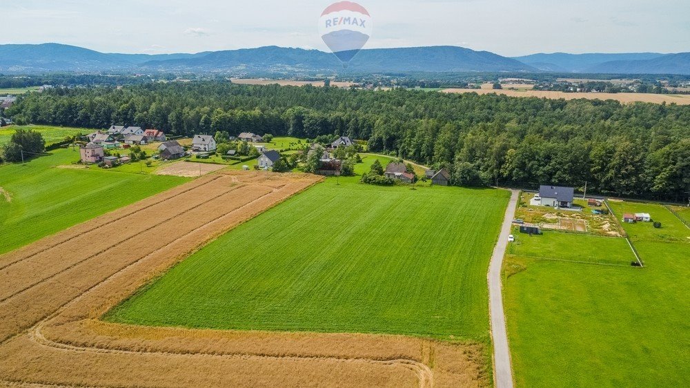 Działka rolna 14,8 ha z możliwością podziału i dojazdem asfaltowym Nidek, Różana  14 791m2 Foto 1