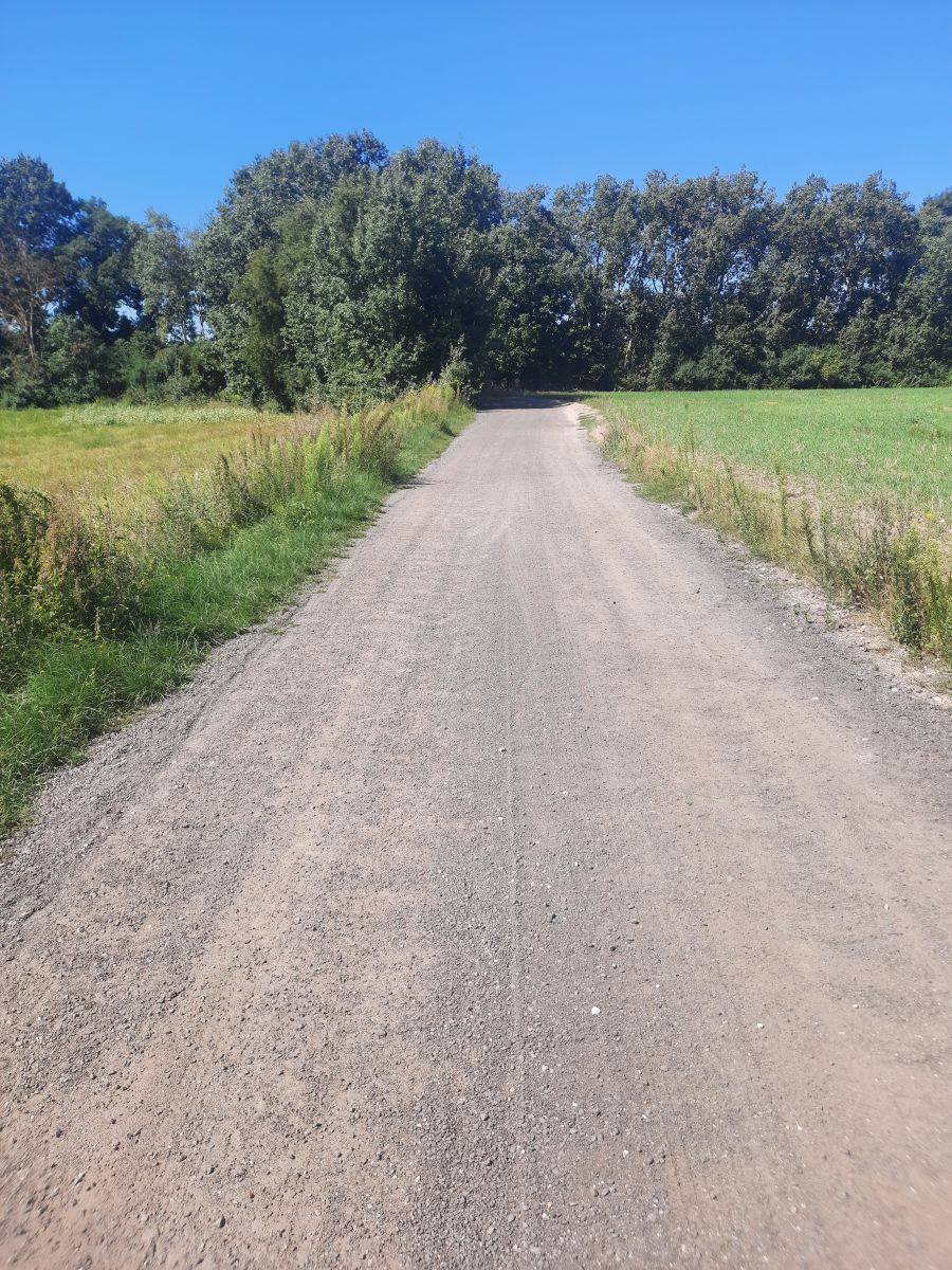 Działka budowlana na sprzedaż Poznań  1 000m2 Foto 6