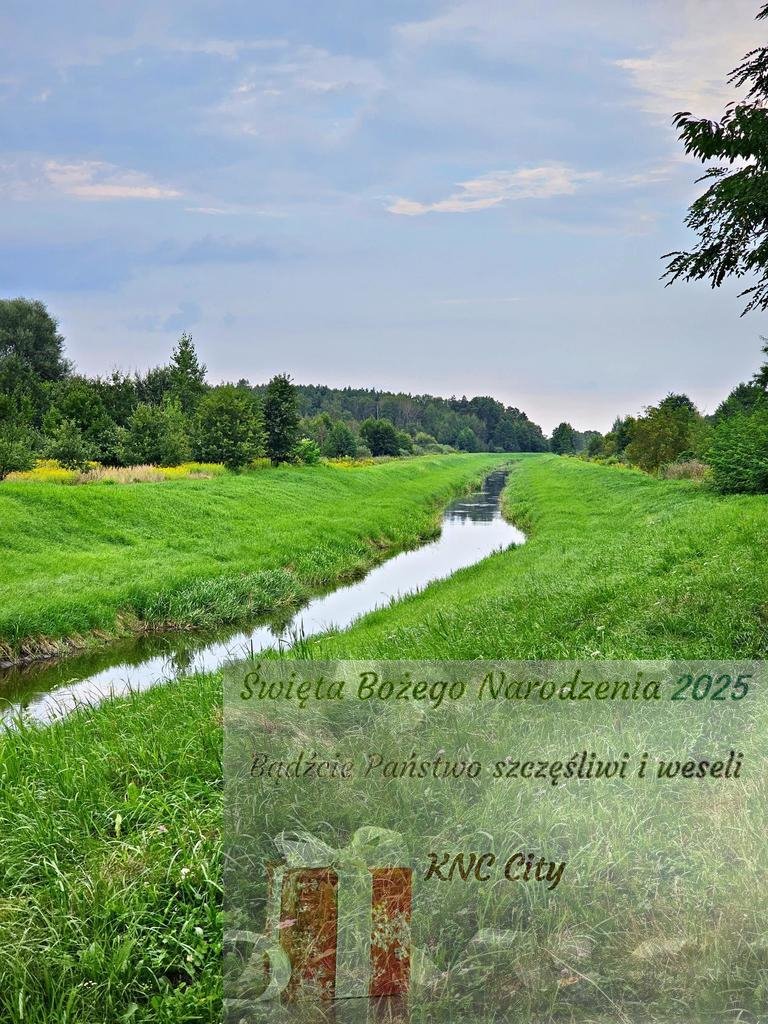 Działka rolna na sprzedaż Dąbrowa  21 100m2 Foto 1