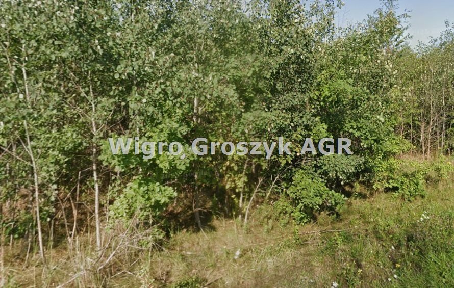 Działka 1656 m² pod dom lub usługi w Sowia Wola Sowia Wola  1 656m2 Foto 1