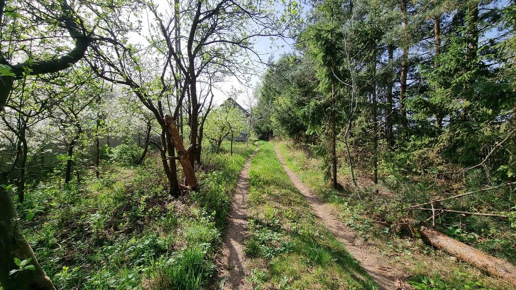 Dom na sprzedaż Stużno-Kolonia  70m2 Foto 1