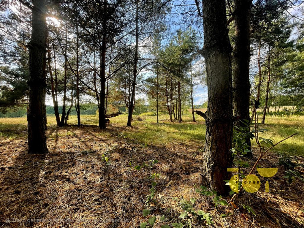 Działka budowlana na sprzedaż Kruki  2 045m2 Foto 5