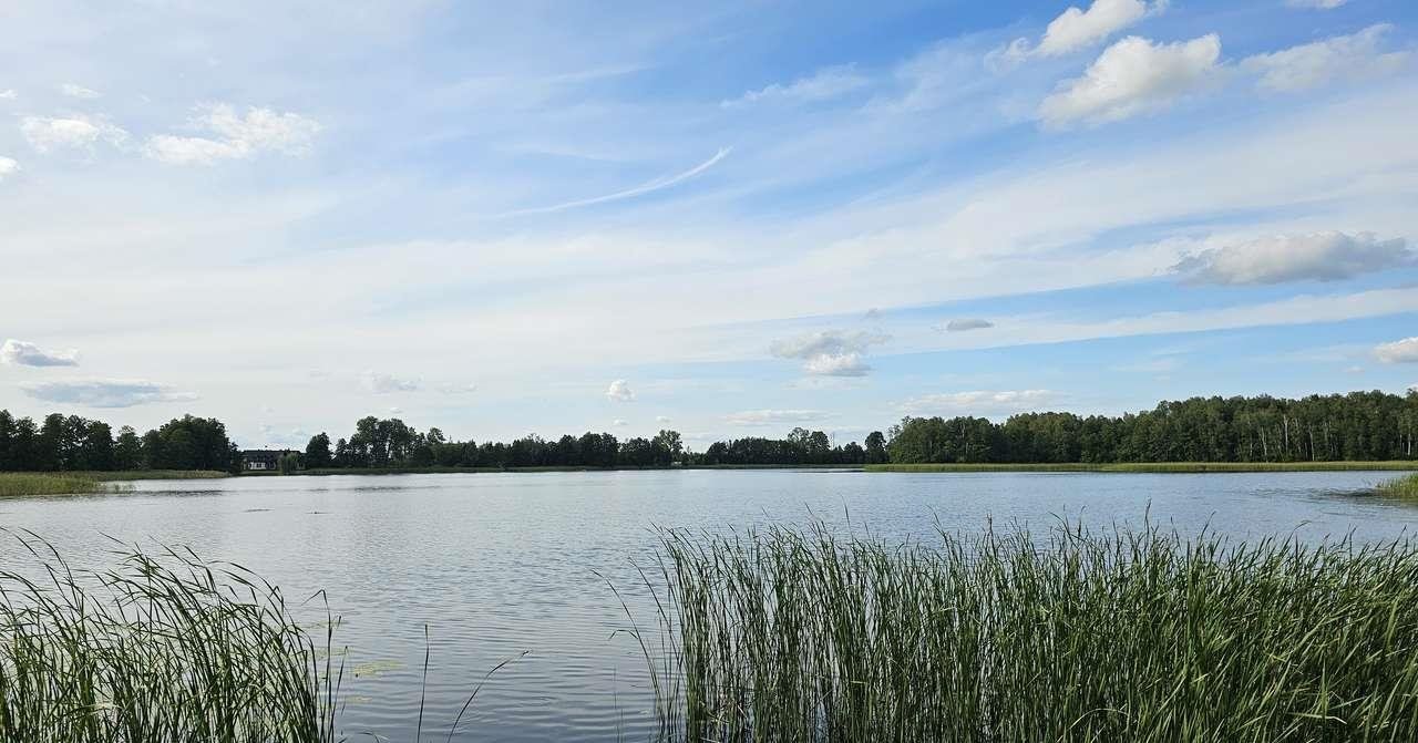 Działka rekreacyjna na sprzedaż Suwałki  3 518m2 Foto 1