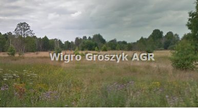 Działka inna na sprzedaż Adamówek  10 900m2 Foto 1