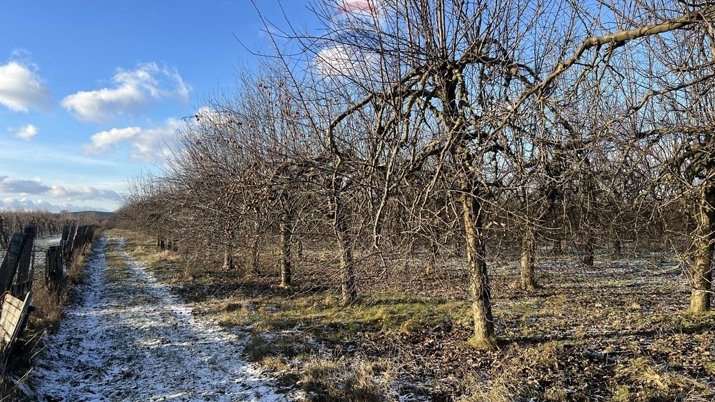 Działka rolna na sprzedaż Turowice  19 400m2 Foto 2