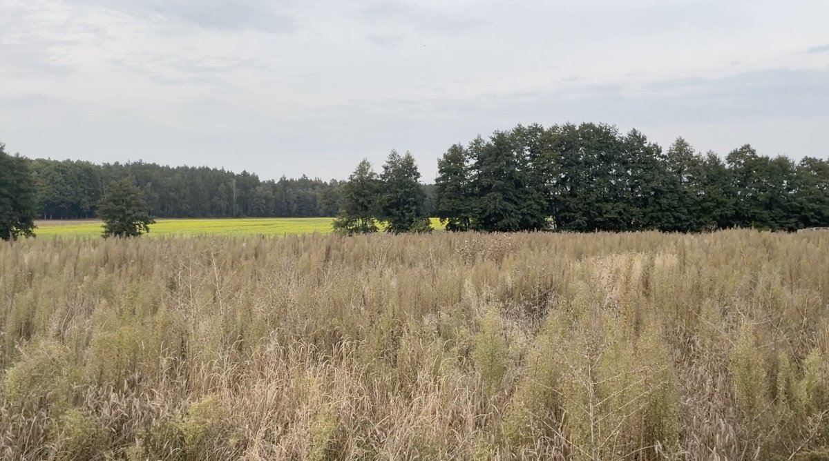 Działka budowlana na sprzedaż Mosina, Mosina, Bławatkowa  3 008m2 Foto 1