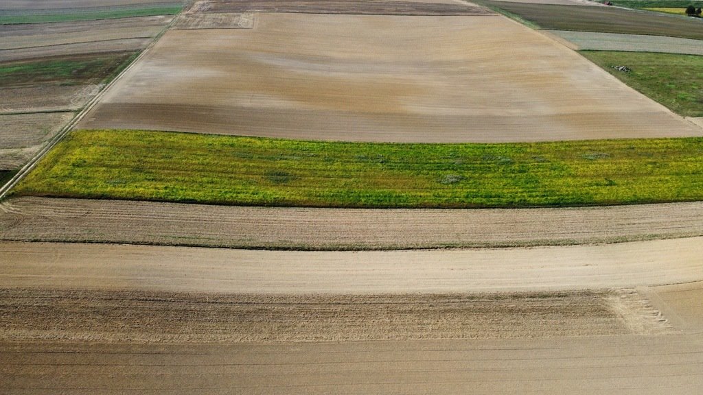 Działka rolna na sprzedaż Będzienica  5 800m2 Foto 4