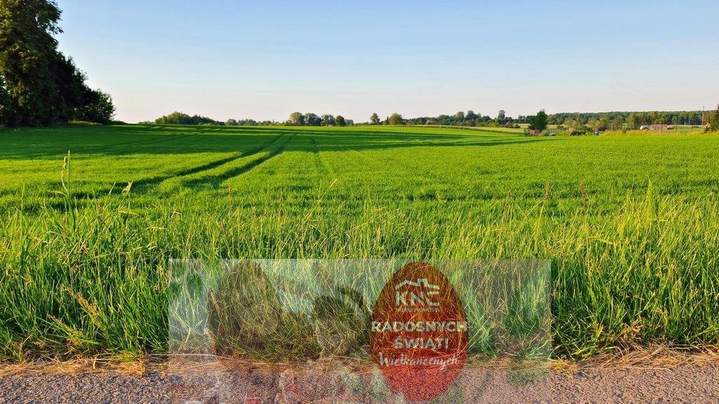 Malownicza działka 30 ar z warunkami zabudowy, pierwsza linia! Miłocin  3 000m2 Foto 1