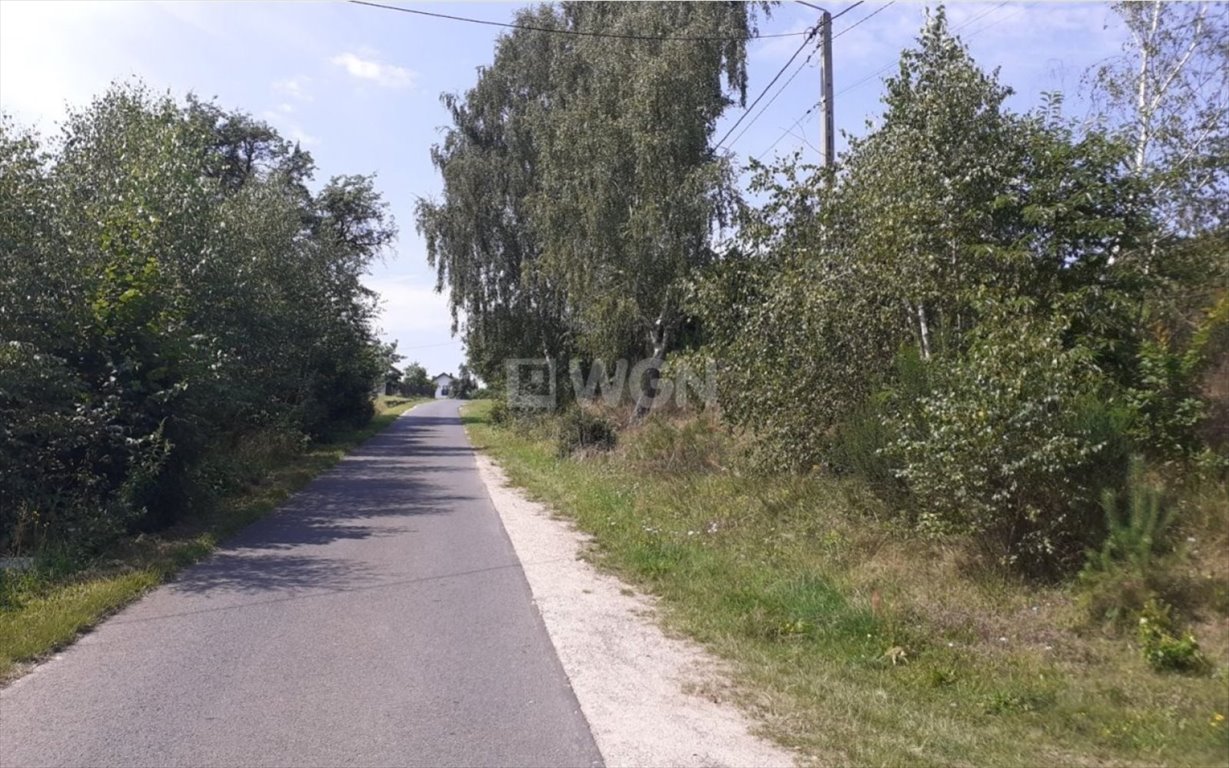 Działka budowlana na sprzedaż Ludwinów, Ludwinów  19 283m2 Foto 2