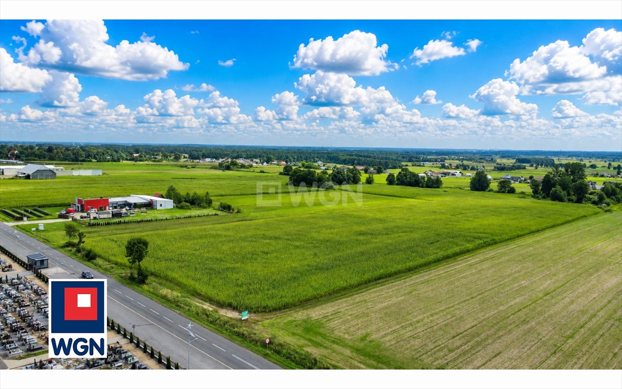 Działka inwestycyjna 2,3 ha przy drodze zapraszam: Sieroszewice: Rososzyca