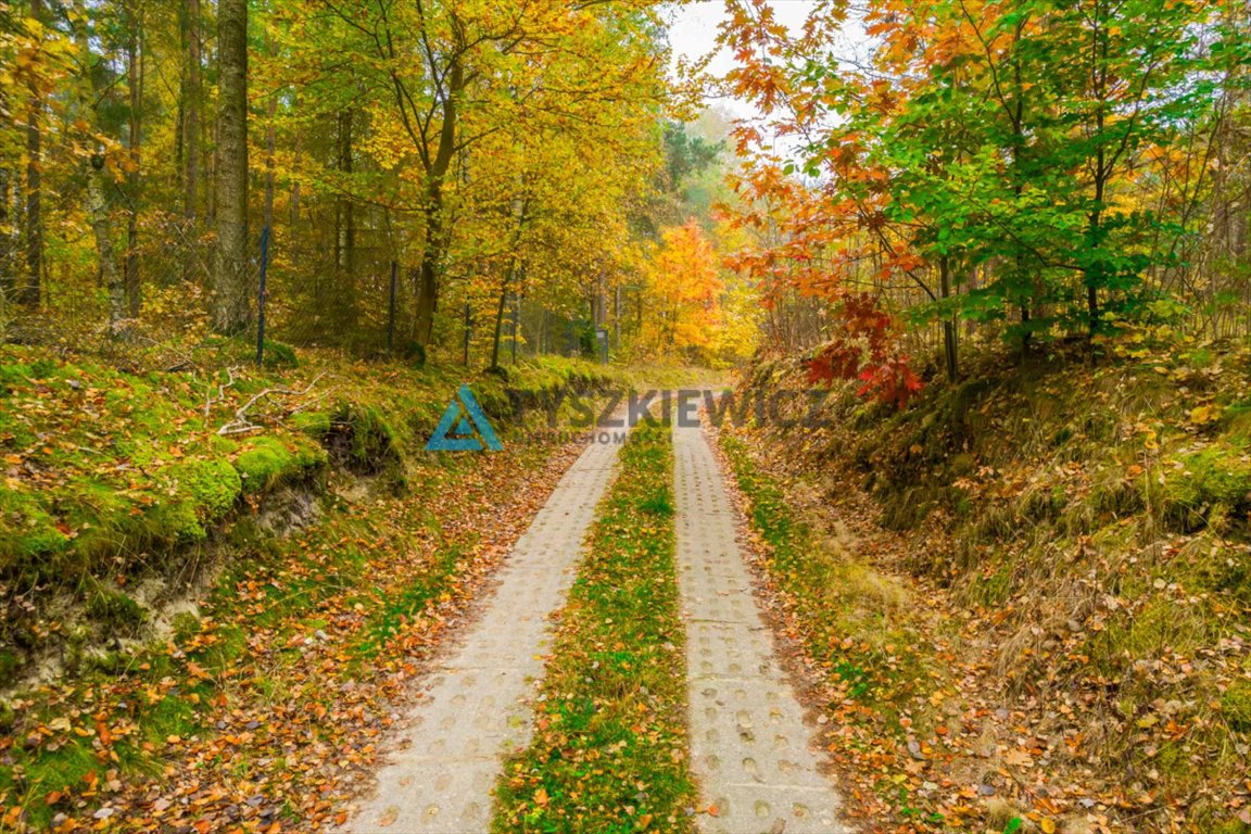 Działka rolna na sprzedaż Górne Maliki  5 059m2 Foto 4