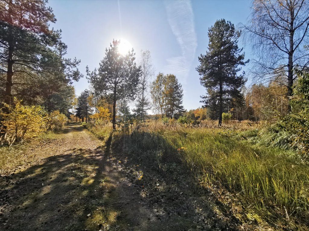 Działka budowlana na sprzedaż Częstochowa, Mirów, Hektarowa  1 089m2 Foto 12