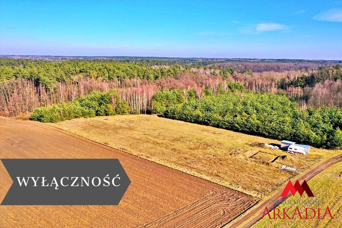 Działka rolno-leśna 9 180 m² w Piątki - szerokie możliwości rozwoju Lipno, Piątki  9 180m2 Foto 1