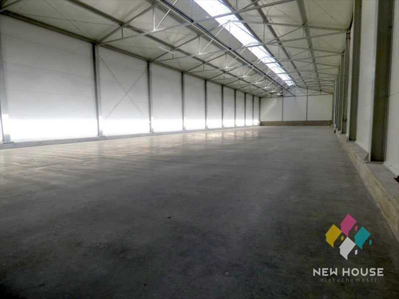 Lokal użytkowy na wynajem Dorotowo 800m2 Foto 1 Lokal użytkowy na wynajem Dorotowo 800m2 Foto 1