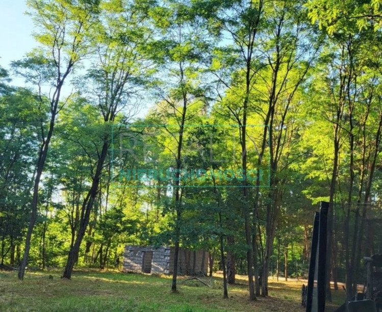 Urokliwa działka 3000 m² z lasem i dostępem do rzeki Budy Mszczonowskie  3 000m2 Foto 1