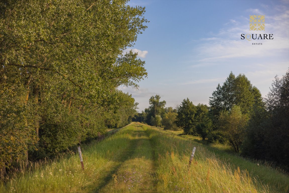 Działka budowlana na sprzedaż Niwy Ostrołęckie  2 133m2 Foto 11