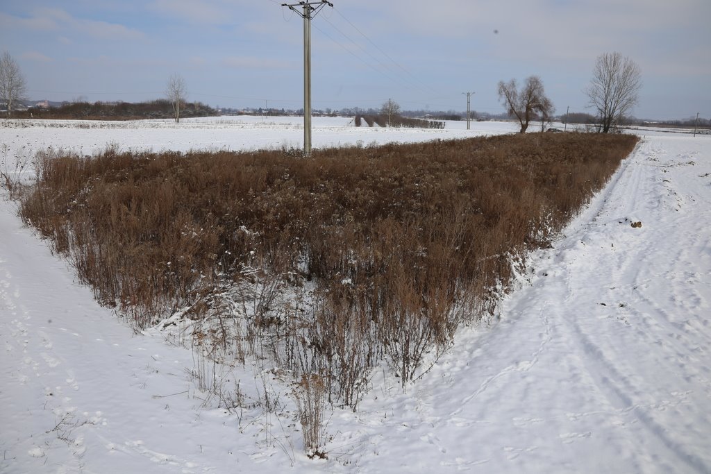 Działka rolna 2700 m² z mediami i dostępem asfaltowym Mściów  2 700m2 Foto 1