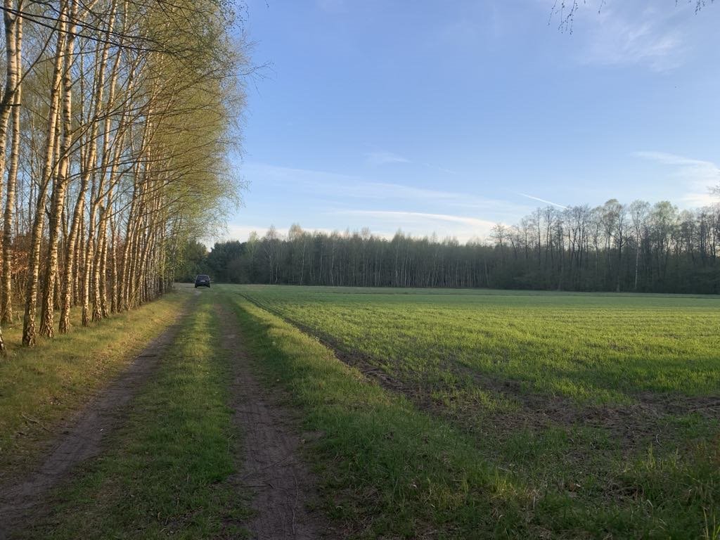 82,9 ha lasów i łąk – idealne miejsce na inwestycję lub własny dom Brody, Brody  82 900m2 Foto 1