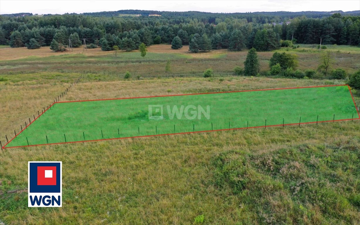 Działka budowlana na sprzedaż Piła Kościelecka, Piła Kościelecka, Kolejowa  3 000m2 Foto 5