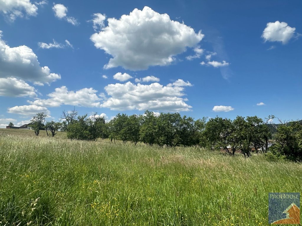 Działka budowlana na sprzedaż Pisarzowa  1 179m2 Foto 1