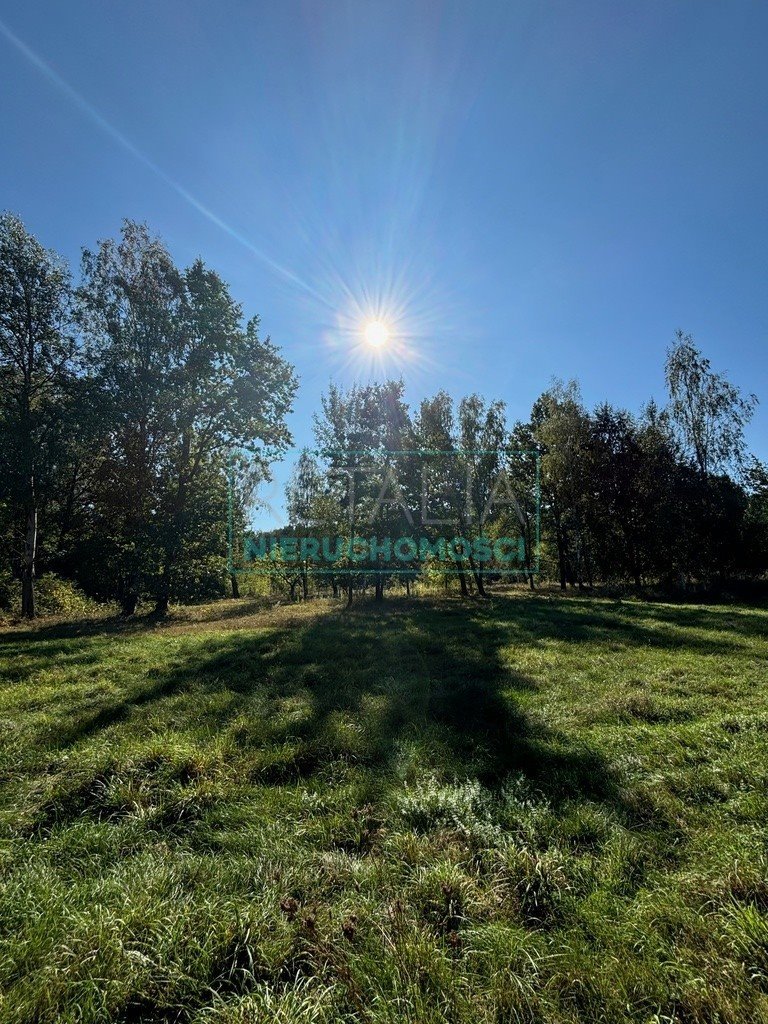 Działka budowlana na sprzedaż Adamowizna  1 584m2 Foto 5