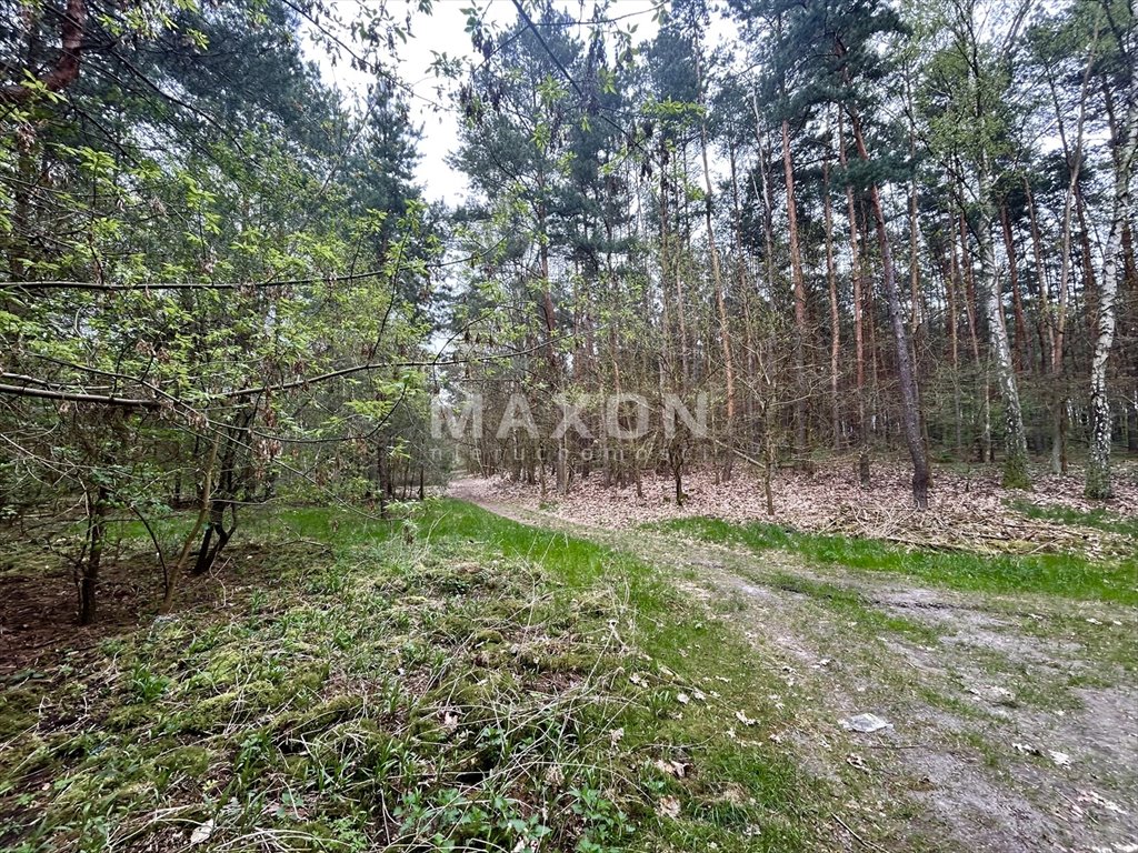 Działka rolna na sprzedaż Stanisławów Pierwszy  6 270m2 Foto 4