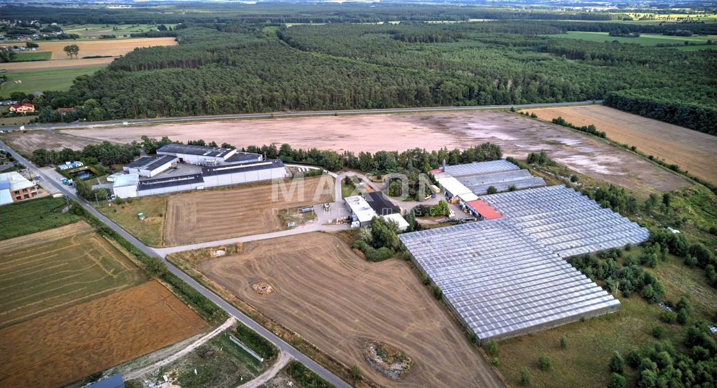 Działka inwestycyjna na sprzedaż Podzborów  113 422m2 Foto 3