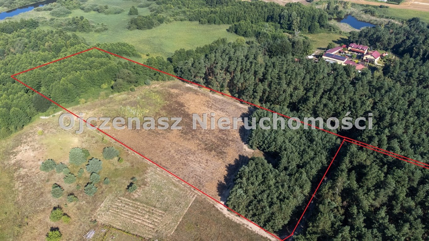 Na sprzedaż działka 11 800 m² w Przewózie, blisko Kruszwicy Piotrków Kujawski, Przewóz  11 800m2 Foto 1