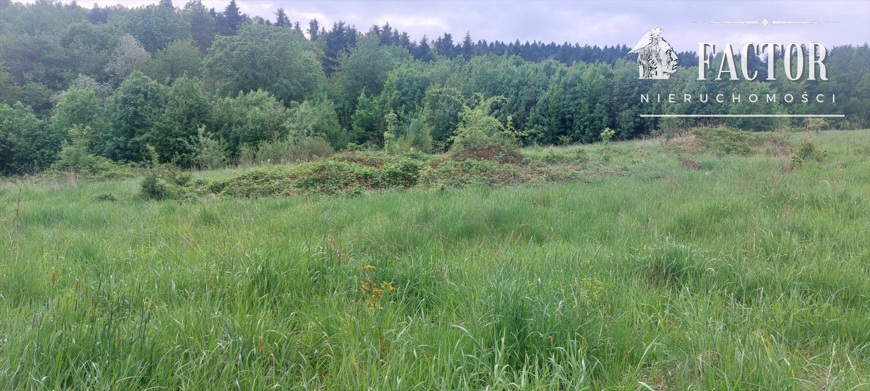 Działka budowlana 15 arów w Siary – media w sąsiedztwie Siary  1 500m2 Foto 1