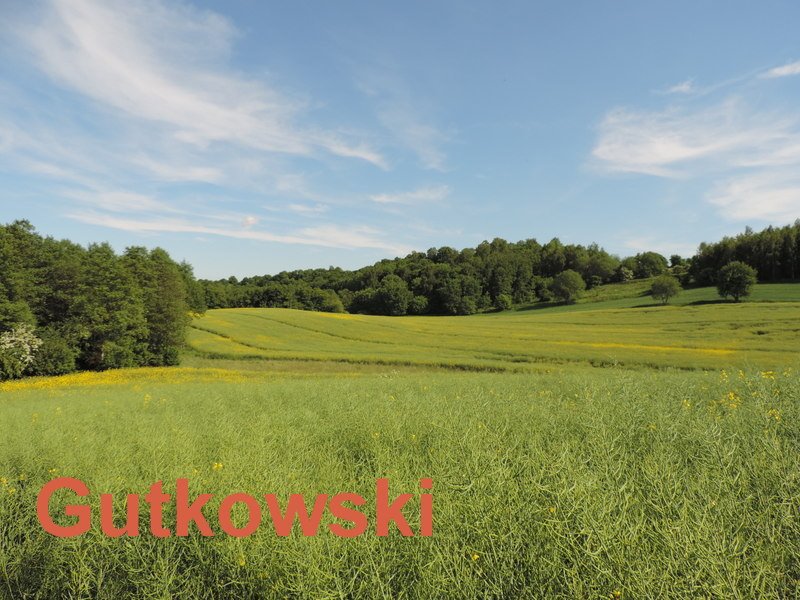 Działka rekreacyjna na sprzedaż Lekarty, gmina Nowe Miasto Lubawskie  5 621m2 Foto 1