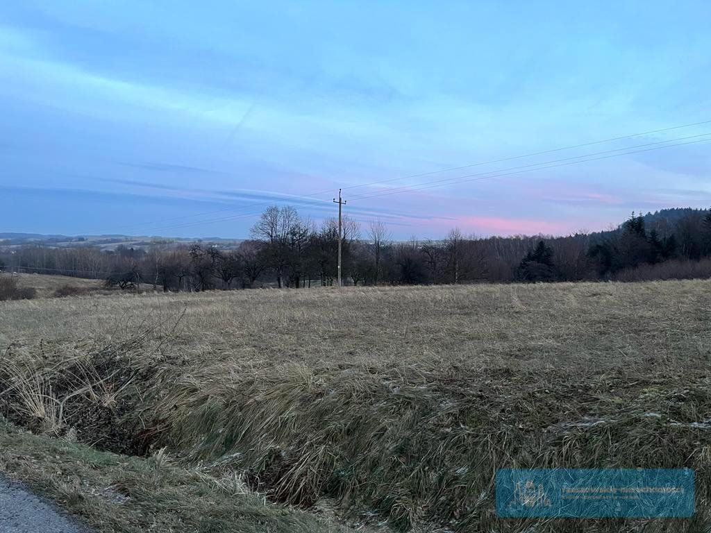 Działka budowlana na sprzedaż Brzeziny  1 700m2 Foto 1